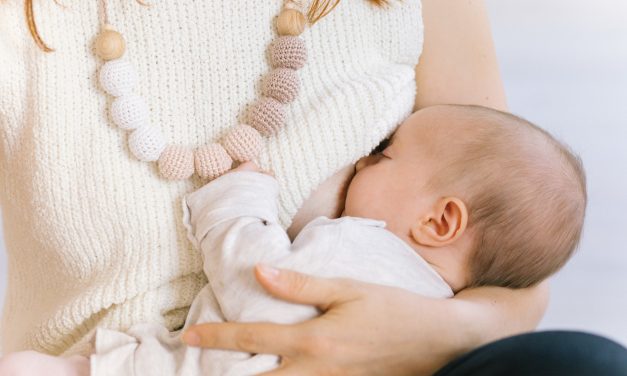 Храненето на майката. Храни за увеличаване на кърмата